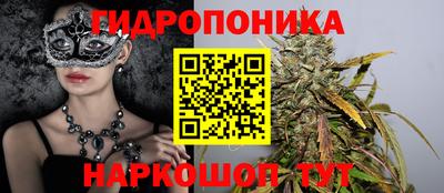 spice Краснознаменск