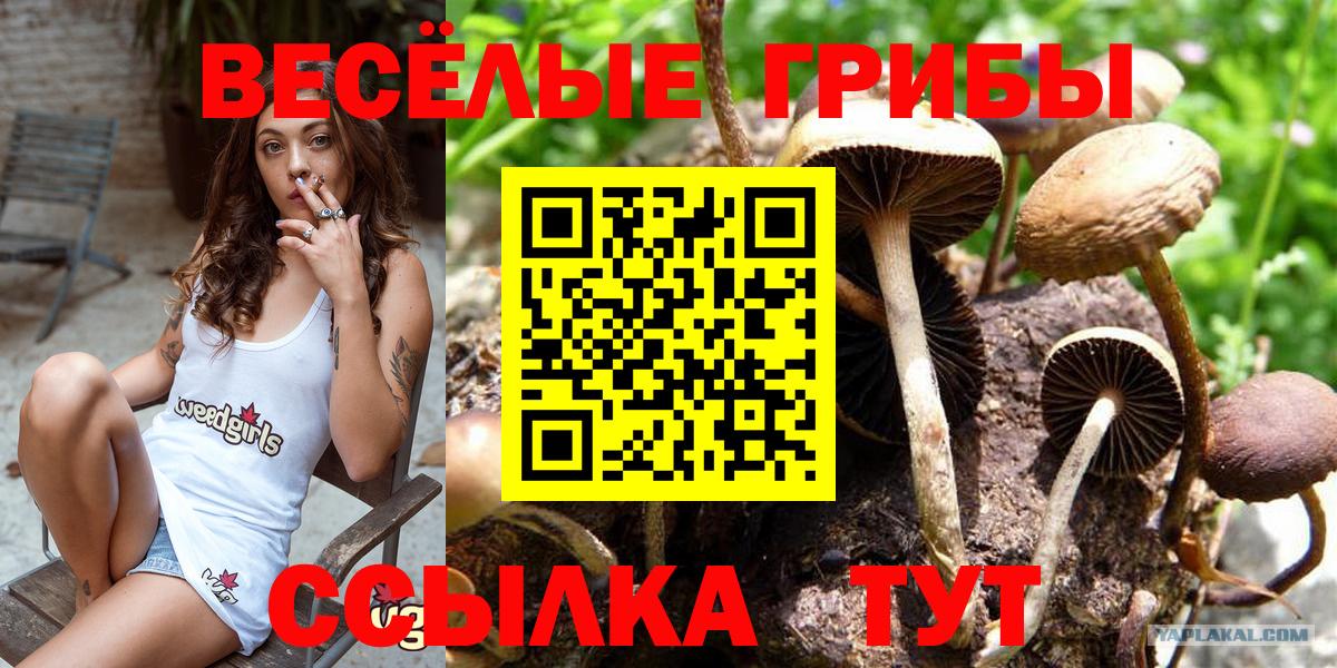 Комсомольск-на-Амуре  Псилоцибиновые грибы Magic Shrooms  Галлюциногенные грибы ЛСД  Вход с VPN 